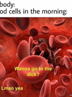 Blood cells in the morning - poza demo