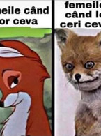 Femeile can vor ceva si can le ceri ceva - poza demo