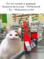 Imi cumpar o gogoasa - poza demo