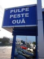 Pulple peste oua - poza demo