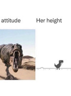 Her attitude and her height - poza demo