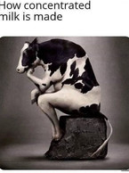How concentrated milk is made - poza demo