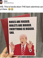 Everything is rigged- Donald Trump Valentines - poza demo