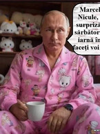 Marcele, Nicule ce surpriza de sarbatori de Iarna - poza demo