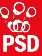 Noua siglă a PSD-ului - poza demo
