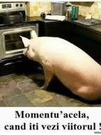 Momentul acela cand iti vezi viitorul - poza demo