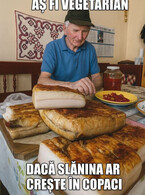 As fi vegetarian - poza demo