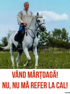 Vand martoaga - poza demo