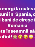 Sa mergi la cules de capsuni in Spania - poza demo