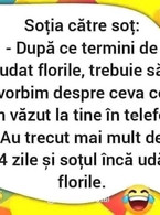 Dupa ce termini de udat florile, trebuie sa vorbim - poza demo