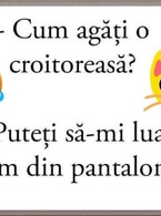 Cum agati o croitoreasa - poza demo