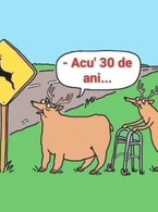 Acu 30 de ani - poza demo