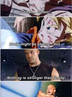 Nothing is stronger than family - DBZ - poza demo