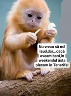 Nu vreau sa ma laud - poza demo