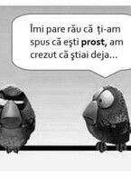 Imi pare rau - poza demo