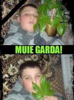 Oare ce trebă are băiatul cu GARDA? - poza demo