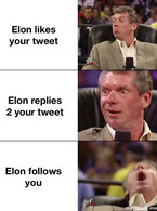 Elon likes your tweet, replies, follows you - poza demo