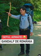 Seful armatei romane - poza demo