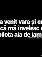 A venit vara - poza demo