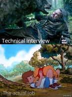 Technical interview vs the actual job - poza demo