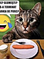 S-a terminat carnea de porc? - poza demo