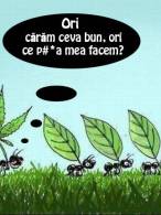 Ori cărăm ceva bun, ori ce p#*a mea facem? - poza demo