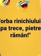Vorba rinichiului - poza demo