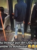 Au inceput puii de la LIDL sa umble cu autobuzul - poza demo