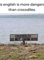 Crocodiles do not swim here - poza demo