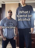 My income and what I spend on alcohol - poza demo