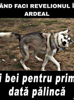 Cand faci Revelionul in Ardeal - poza demo