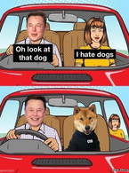 I hate dogs. Reaction of Elon Musk - poza demo