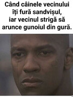 Cand cainele vecinului - poza demo