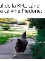 Puiul de la KFC cand il vede pe Piedone - poza demo
