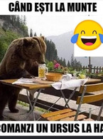 Cand esti la munte si comanzi Ursus la halba - poza demo
