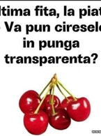 Ultima fita, la piata - poza demo