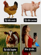 Iti da si nu-ti da - poza demo