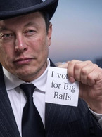 I voted for Big Balls - Elon Musk - poza demo