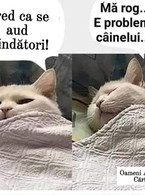 Cred ca se aud colindatori - poza demo