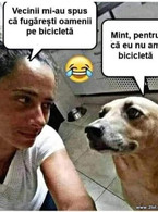 Veciniii mi-au spus ca fugaresti oamenii - poza demo