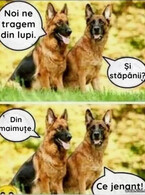 Noi ne tragem din lupi - poza demo