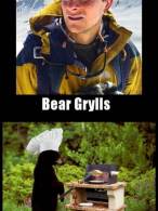 Bear Grylls și Bear Grills - poza demo