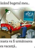 Vazand bugetul meu - poza demo