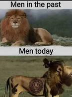 Men in the past and men today - poza demo