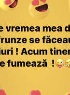 Pe vremea mea din frunze se faceau ceaiuri - poza demo