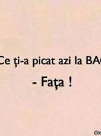 Ce ți-a picat azi la BAC? - poza demo