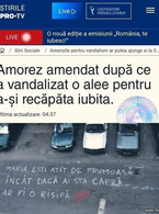 Amorez amendat dupa ce a vandalizat o alee pentru - poza demo