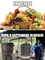 Fructele, după o săptămână în Vaslui - poza demo