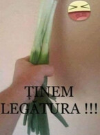 Tinem legatura - poza demo