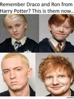 Draco and Ron from Harry Potter. This is them now - poza demo